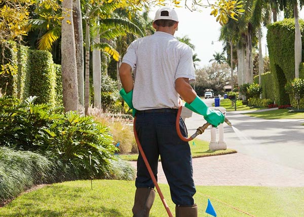 About Jacksonville Beach FL Pest Control Pros